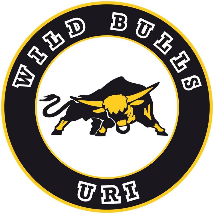 Wild Bulls Uri